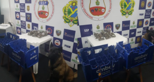 Barco de Tefé é interceptado com maconha escondida na cervejaCombate ao tráfico