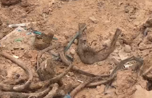 Vazante revela ossada enterrada ao lado de uma corda no porto da Manaus ModernaDe quem é?