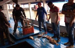 Agentes da base Arpão apreendem três toneladas de pescado ilegalO pescado ilegal avaliado em R$ 15 mil e está na época do defeso