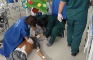 Secretaria rebate vídeo de paciente reanimado no chão do 28 de Agosto