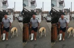 Preocupado com seu cachorro manco, homem descobre no veterinário que ele apenas o imitava