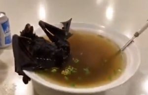 OMS começa investigar na China a origem do novo coronavírusLupa