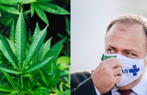 Ministério da Saúde abre consulta pública para incluir canabidiol no SUSPolêmica