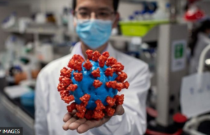 Fiocruz e FVS confirmam 18 variantes do coronavírus no AmazonasPandemia em larga escala