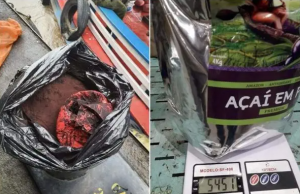 Disfarçada em embalagem de açaí, cocaína negra é embalada por traficantes no Amazonas