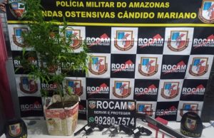 Rocam prende dupla com armas, drogas e um pé de maconha, em Iranduba