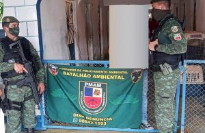 Dono de canil clandestino no Santo Agostinho é detido suspeito de maus-tratos animais