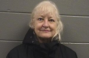 Idosa é presa após 19 anos viajando de avião clandestinamente sem pagar nadaGolpe