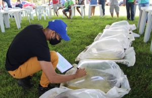 Idam doa 25 mil alevinos de tambaqui a produtores de IrandubaOs alevinos são resultados da parceria público-privada com produtor da região