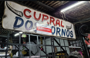 Curral dos Cornos é fechado durante festa na zona Leste de Manaus
