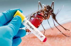 Casos de Dengue crescem em Iranduba e autoridades ligam sinal de alertaJá são 69 casos confirmados até esta segunda-feira (29), pela Semsa