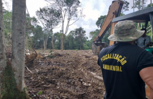 Prefeitura de Manaus flagra obra irregular no TarumãAbsurdo