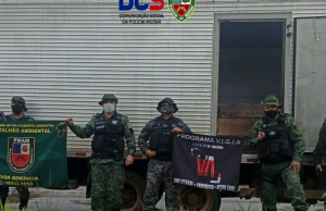 CRIME EM IRANDUBA: PM apreende 4,5 toneladas de pirarucu escondido em caminhão-baúPegos no flagra