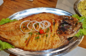 Tambaqui, pacu e até salmão estão associados à “doença da urina preta”, aponta estudo