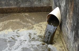 Pesquisadores buscam novas variantes de Covid no cocô da população de 50 paísesEsgoto e pandemia