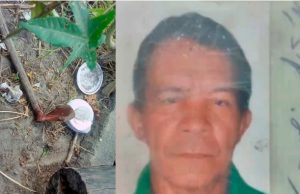 Vizinho mata idoso a sangue frio com dezenas de enxadadas na cabeça em ManausCrime bávbaro