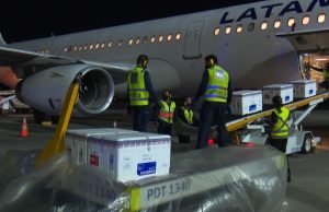 Amazonas recebe 53.750 novas doses de vacinas contra a Covid-19Corrida contra o coronavírus