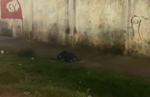 Peladeiro é executado durante aquecimento no campo do CDC da CompensaTragédia