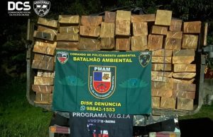 Caminhão até o tucupi de madeira ilegal é apreendido em ManacapuruMeio Ambiente