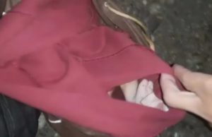 Bebê ainda com cordão umbilical é jogado em matagal dentro de bolsaO recém-nascido apresentava quadro de hipotermia, além de algumas escoriações