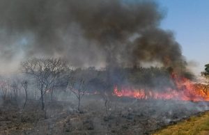 Decreto proíbe queima controlada por 120 diasDecisão está publicada no Diário Oficial de hoje