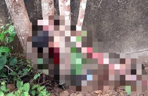 Em Parintins, homem é torturado até a morte e tem corpo amarrado em árvoreHomem é torturado, morto e amarrado à tronco de árvore em Parintins