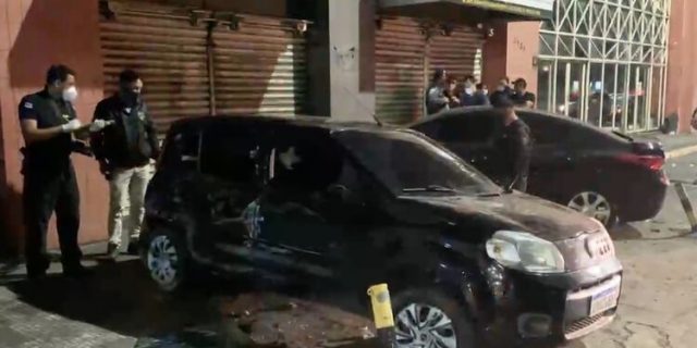divulgação