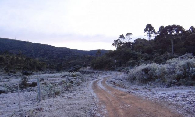 santa_catarina_geada
