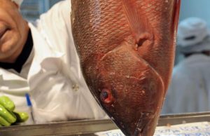 Urgente: doença da urina preta chega a 44 casos e já atinge seis cidades do AmazonasSurto em crescimento