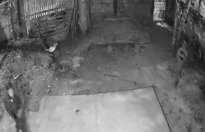 Mãe implora pela vida do filho, mas pistoleiros não perdoam e o matam dentro de casa em Manaus