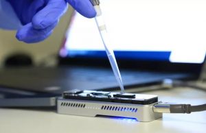 Cientistas brasileiros descobrem mutação mais agressiva da Covid-19No Brasil, no entanto, a variante P.1, originada em Manaus, ainda é a predominante