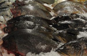 URINA PRETA: Maués, Urucurituba e Parintins confirmam novos casos61 doentes