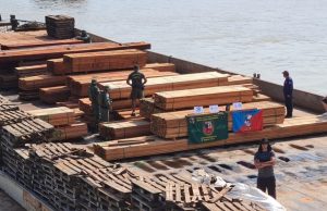 PM apreende madeira ilegal em HumaitáBatalhão Ambiental