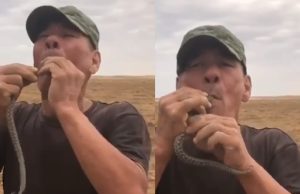 Agricultor morre após ‘engolir víbora venenosa’ durante desafio; veja o vídeoNossa!