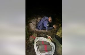 80 quilos de maconha são encontrados enterrado em área de mata no ZumbiUm homem foi detido