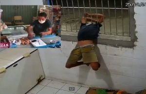 Como uma lesma, ladrão entra em taberna e faz a limpa; veja os vídeos do molusco