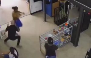 Mucura maceta toca o terror em galeria no Centro de Manaus: VEJA