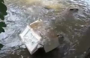 Vídeo: geladeira com corpo esquartejado aparece boiando em igarapé de ManausHiorror