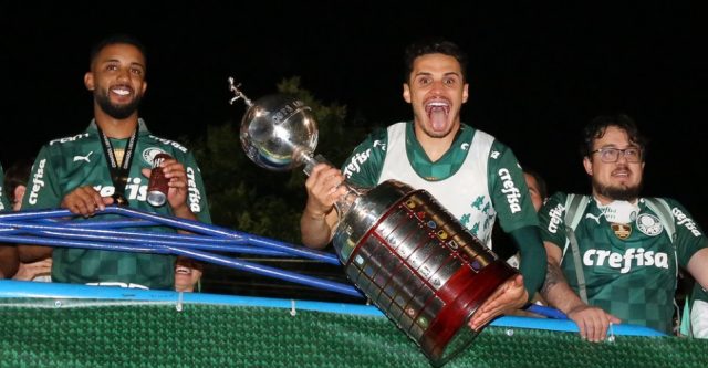 palmeiras