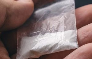 Ex-assessor parlamentar traficava cocaína escondido no ‘prepúcio’ em BrasíliaO ex-assessor foi autuado pelo crime de tráfico de drogas e, após decisão da Justiça, ganhou liberdade provisória