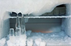 Barbaridade: feto é encontrado congelado em geladeira depois de um anoO corpo foi encontrado pela dona de casa que estava fazendo a limpeza no eletrodoméstico