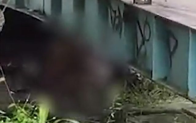 video.jpg