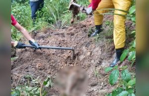 Corpo de adolescente de 14 anos é encontrado em cova rasa em invasão de Iranduba