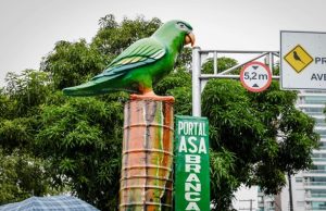 Prefeitura instala ‘Periquitões’ no V8 para conscientizar motoristas