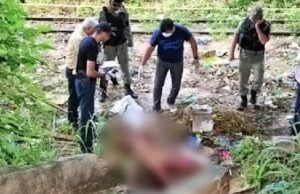 CENA DE TERROR! Mulher é estuprada, morta e ‘psicopata’ corta vagina e coloca em sua boca