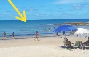 Bombeiros salvam 11 turistas que se afogaram ao mesmo tempo em praia da ParaíbaNunca visto antes