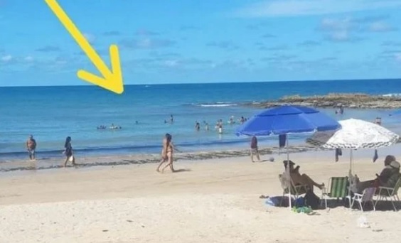 turistas.jpg