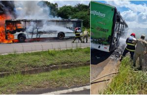 Ônibus da Alfabus queima na estrada de Iranduba: “sentimos cheiro de diesel e nos mandaram sair”