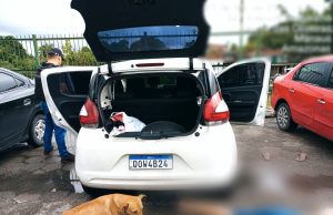 Polícia prende quarteto crimonoso que usava ‘Chapolin’ para furtar carros em ManausNa ocasião os infratores abordaram uma viatura modelo S10 da Polícia Civil assim achando que seria o veículo de uma possível vítima