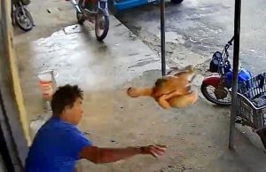 Vídeo flagra homem atirando frango contra ladrão durante tentativa de fuga